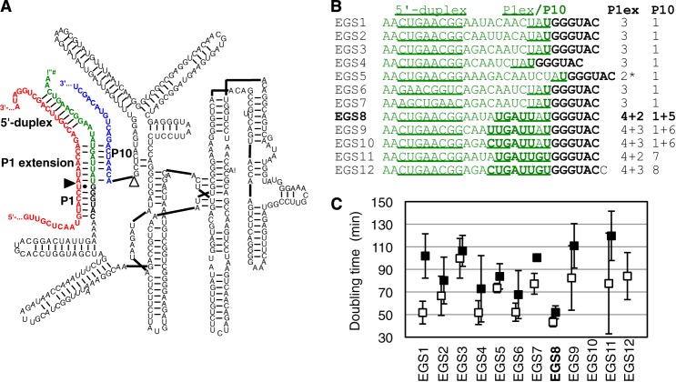 FIGURE 1.