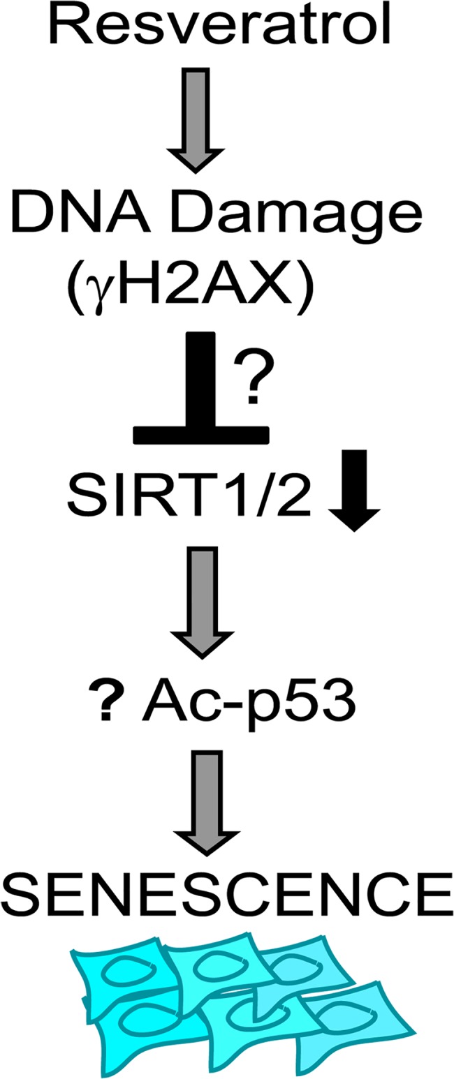 Fig 11