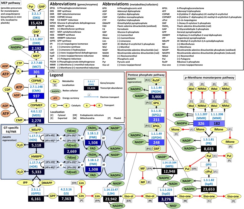 Figure 4.