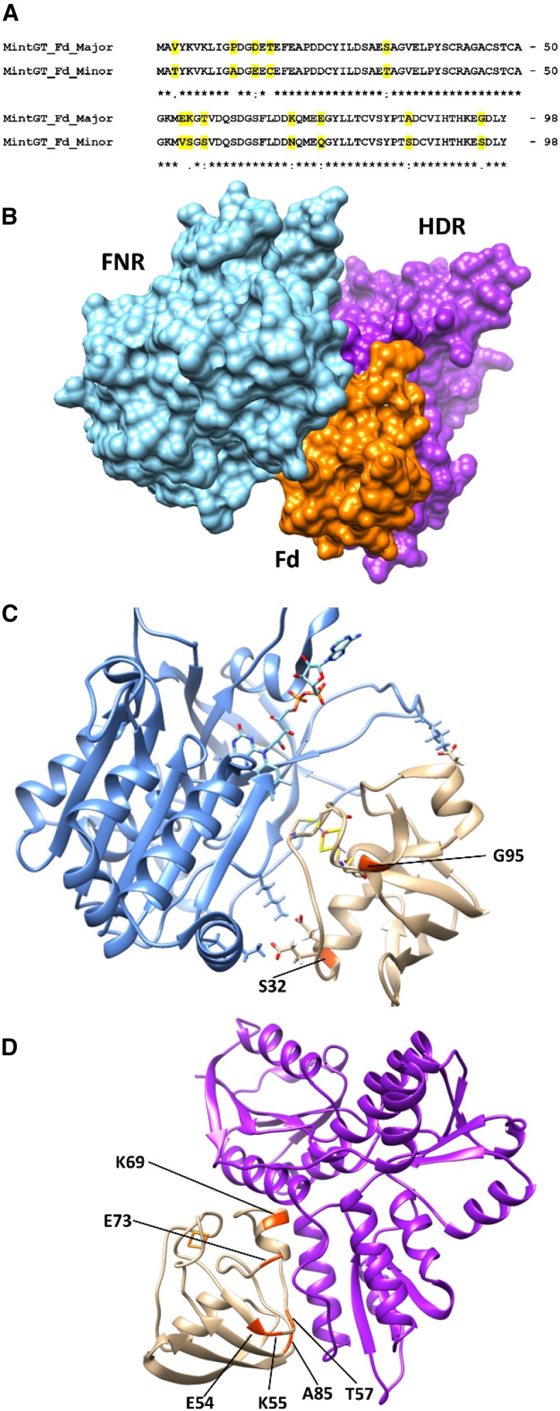 Figure 6.