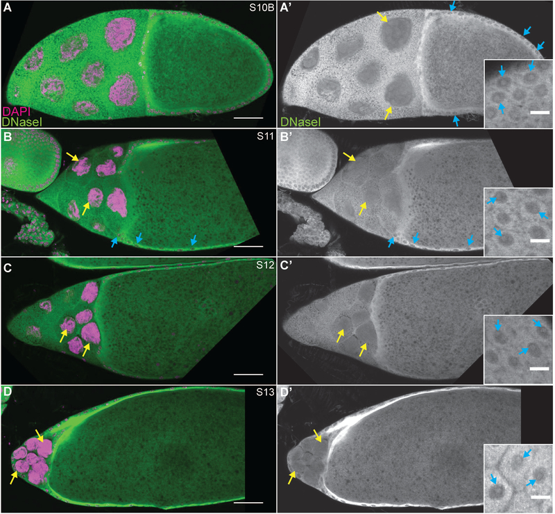 Figure 3: