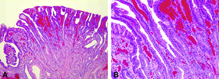 Figure 6