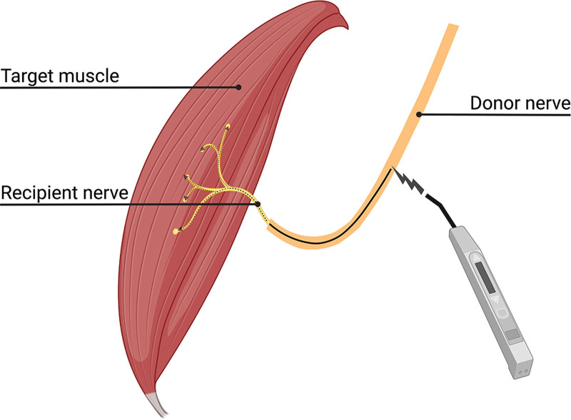 Fig. 3.