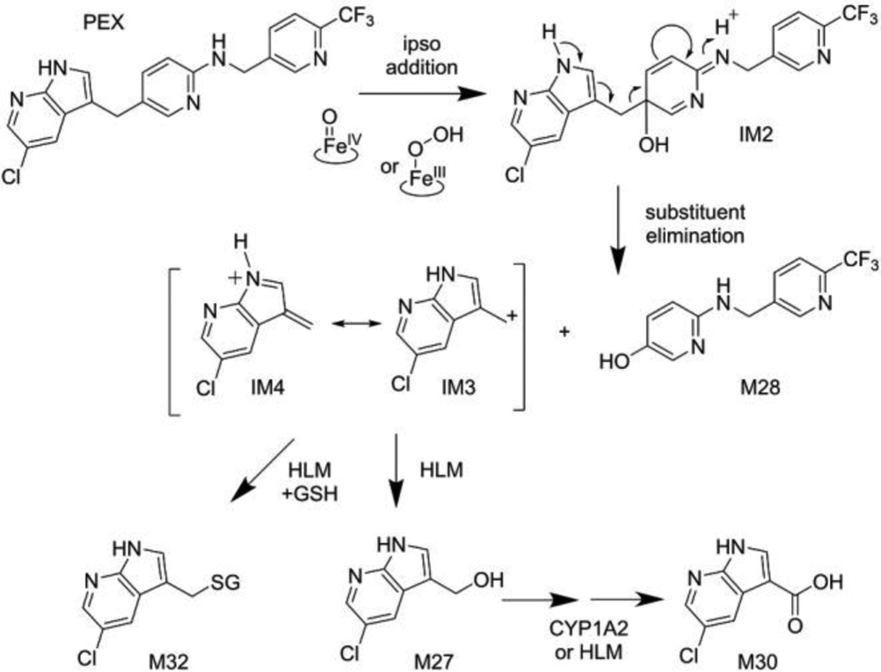 Figure 7.