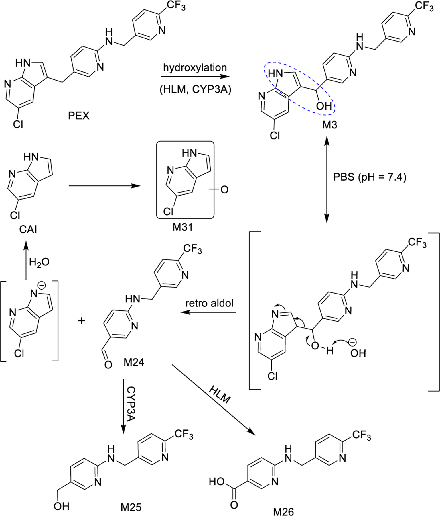 Figure 5.