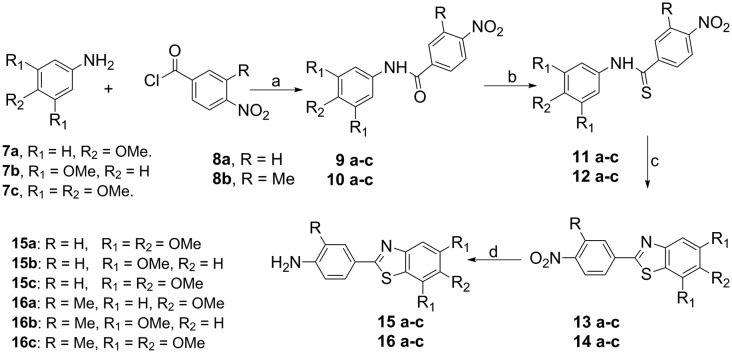 Scheme 1