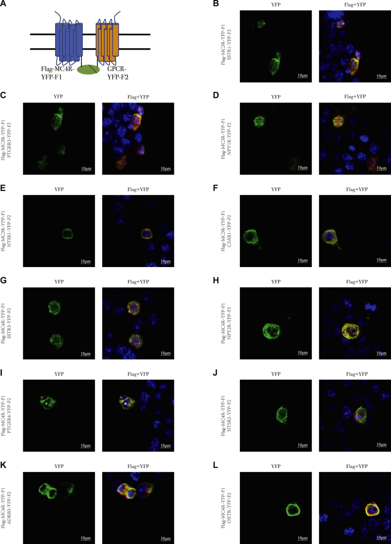 Figure 4