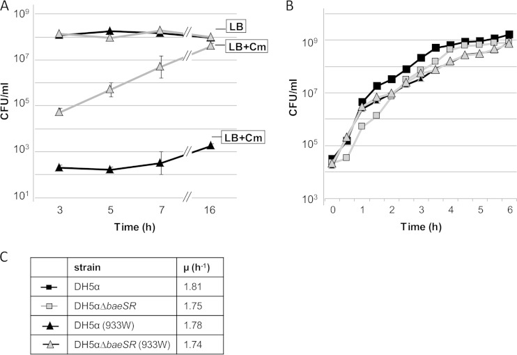 FIG 3