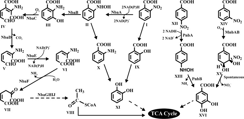 FIG 1