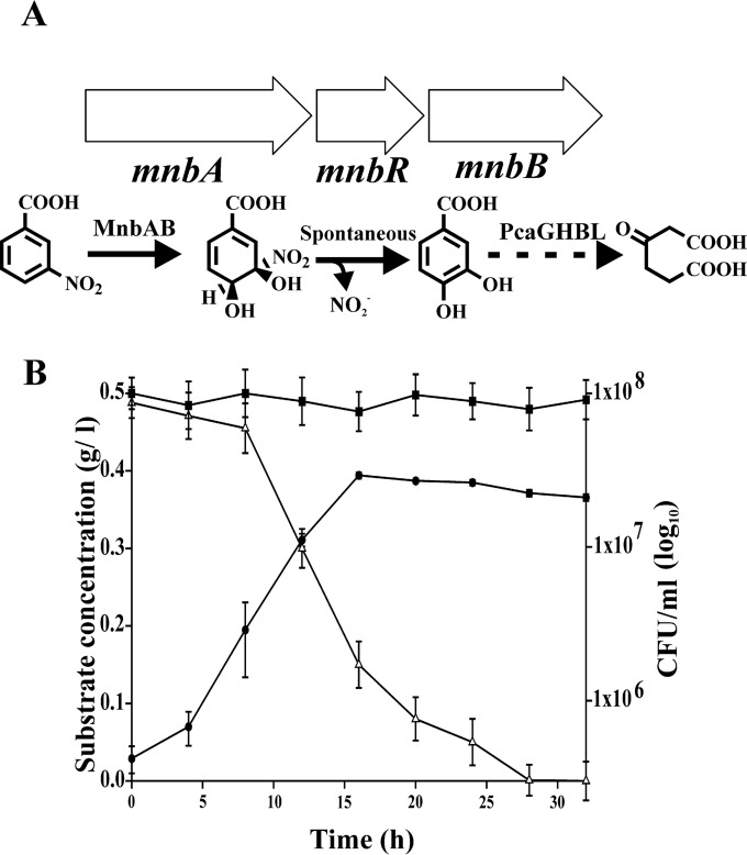 FIG 5