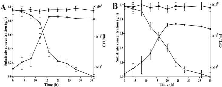 FIG 2