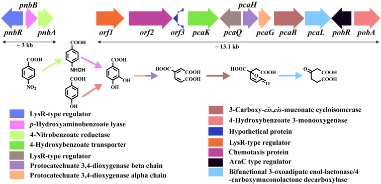 FIG 4