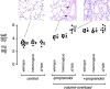 F<sc>igure</sc> 6.