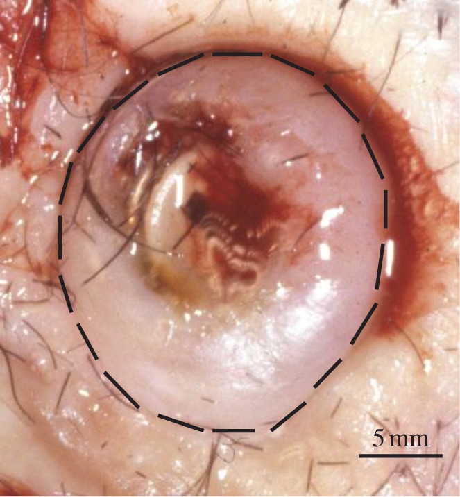 Figure 1.