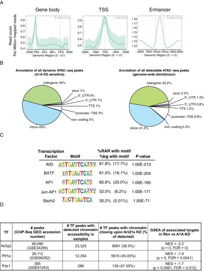 Figure 7—figure supplement 1.