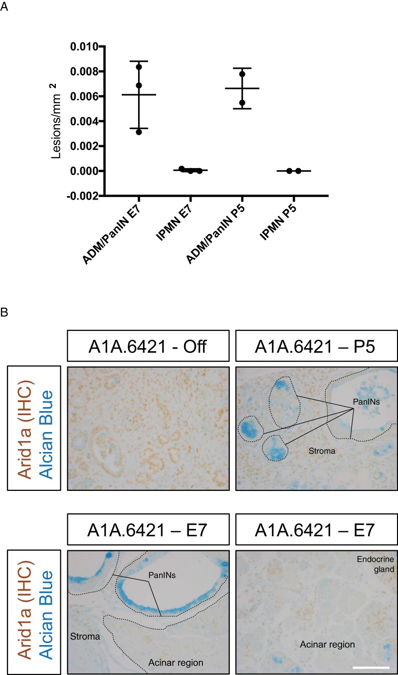 Figure 4—figure supplement 1.