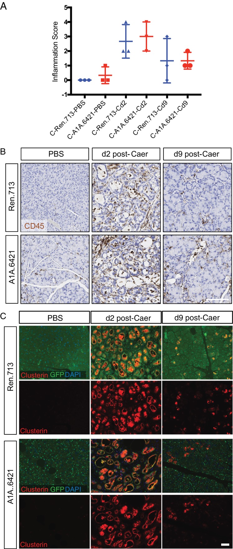 Figure 3—figure supplement 2.