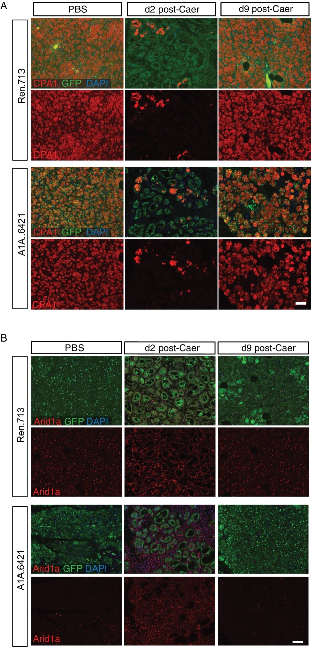 Figure 3—figure supplement 3.