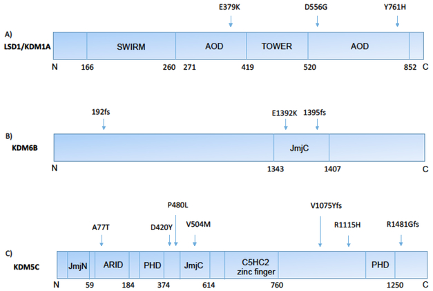 Figure 2: