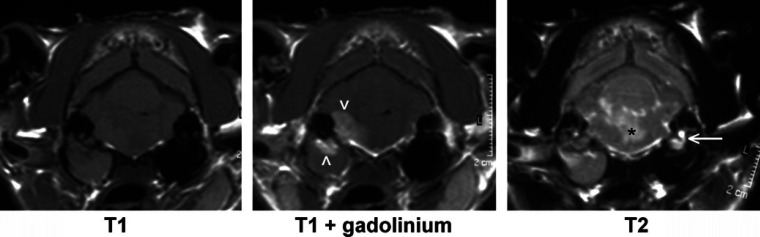 Fig 4