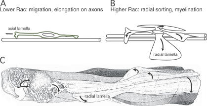 Figure 9.