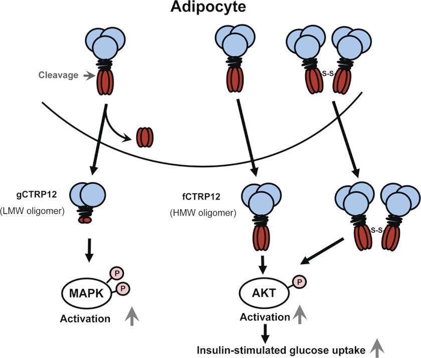 FIGURE 10.