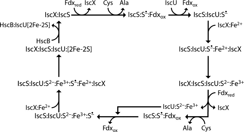 Figure 10