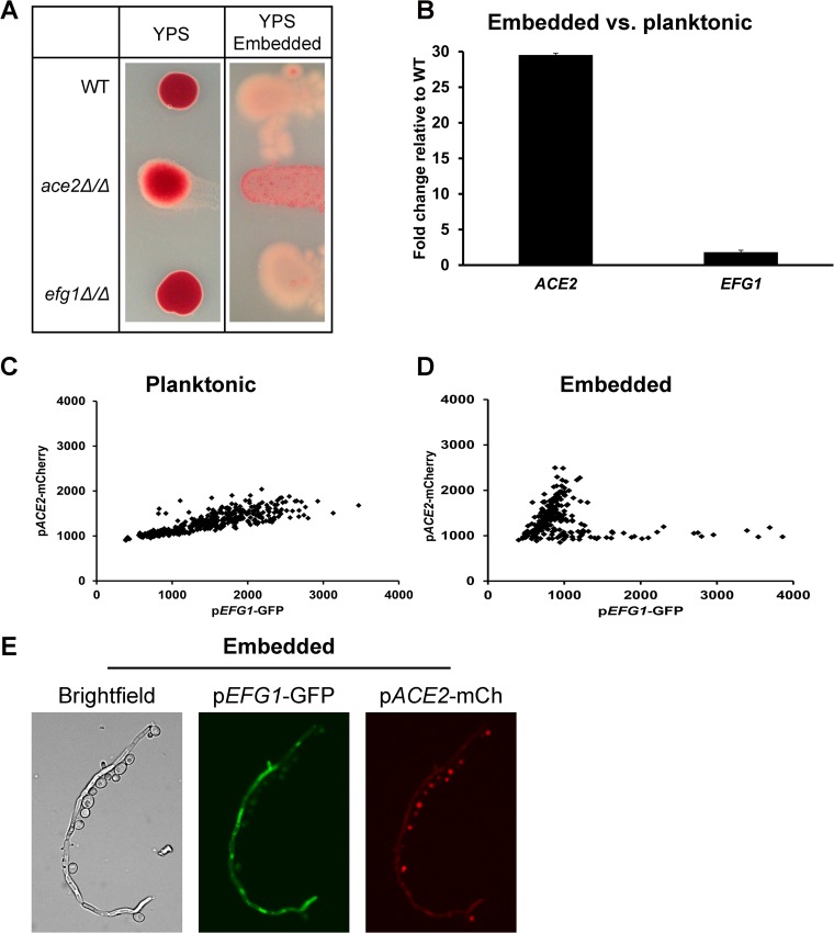 FIG 6