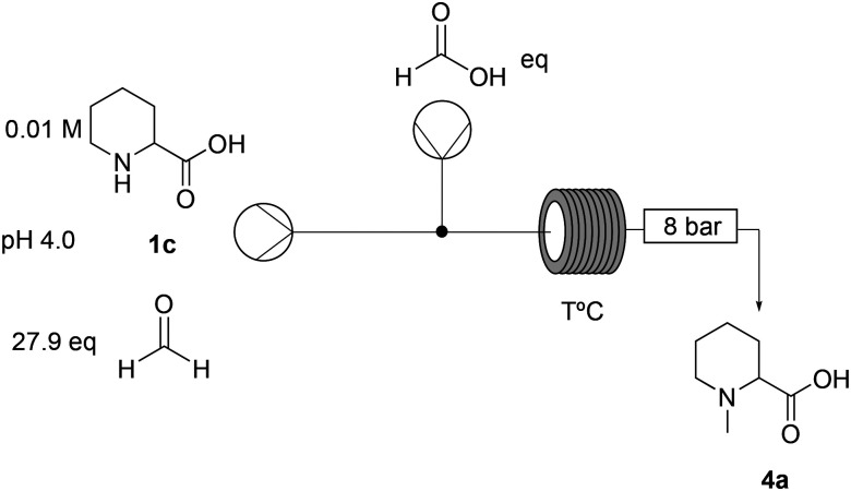 Scheme 2