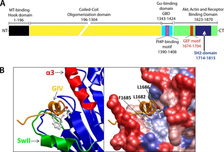 FIGURE 1.