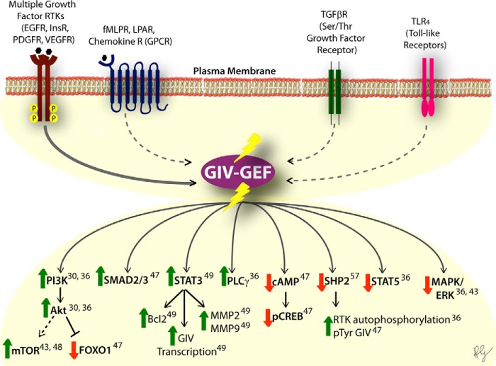 FIGURE 2.