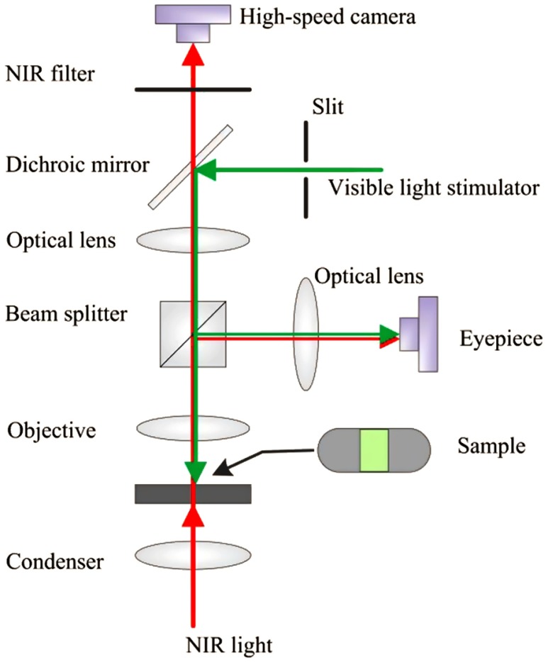 Fig. 2