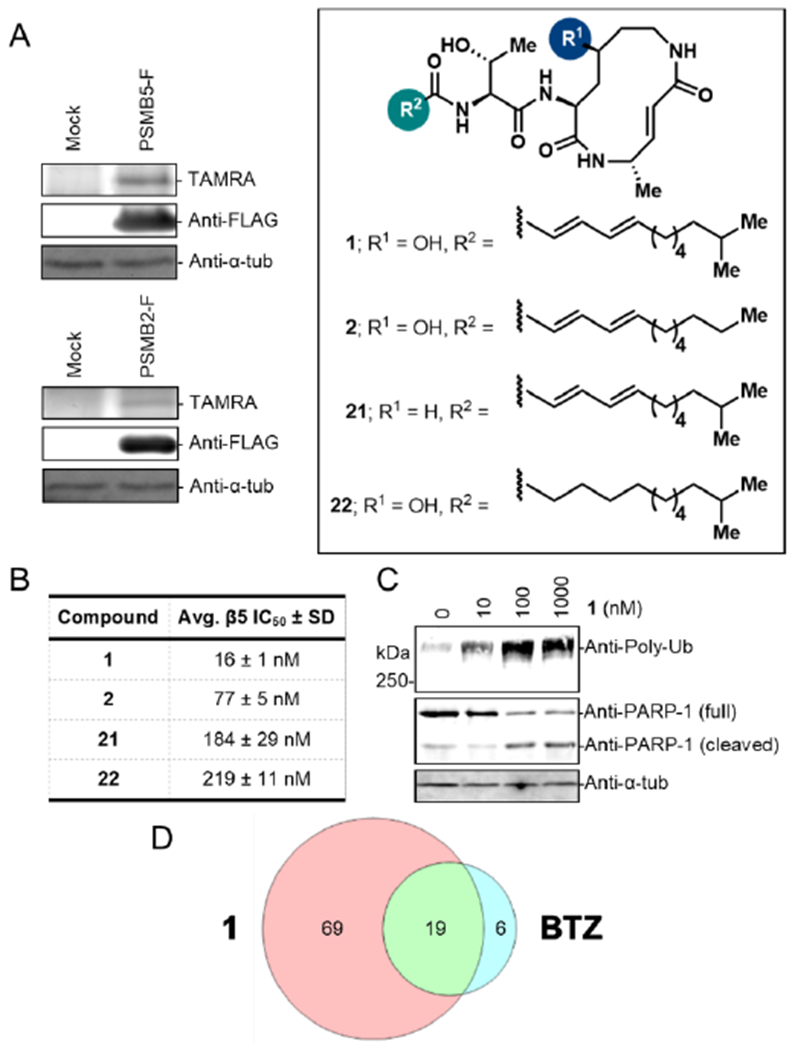 Figure 5.