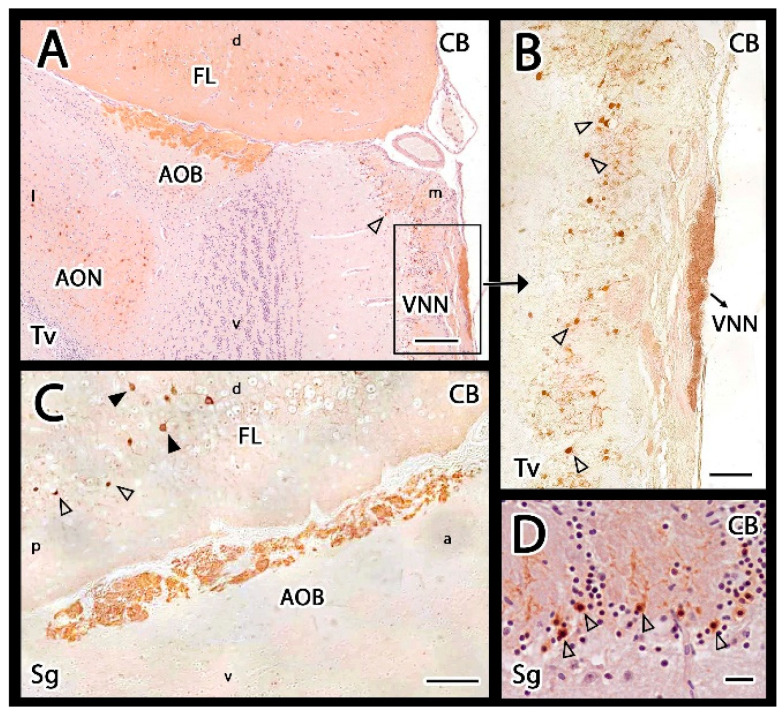 Figure 10