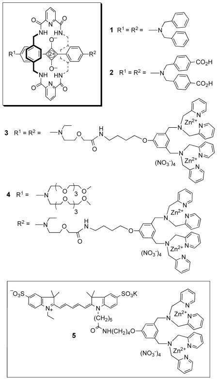 graphic file with name nihms-188426-f0001.jpg