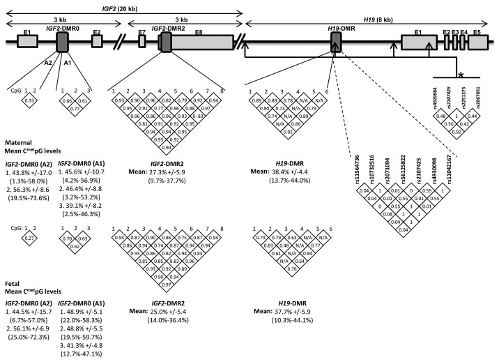 graphic file with name epi-7-1125-g1.jpg