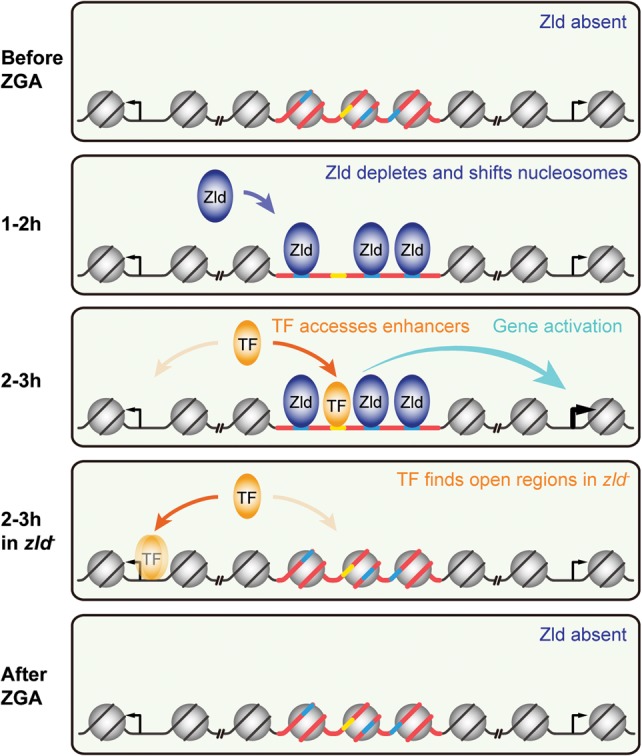 Figure 5.