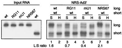 FIG. 7