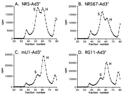 FIG. 6