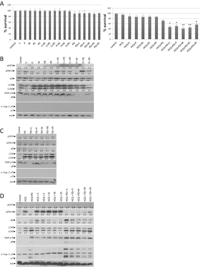 Fig 5