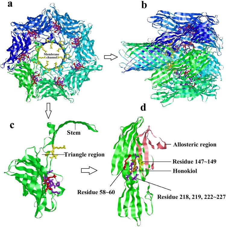 Figure 7.