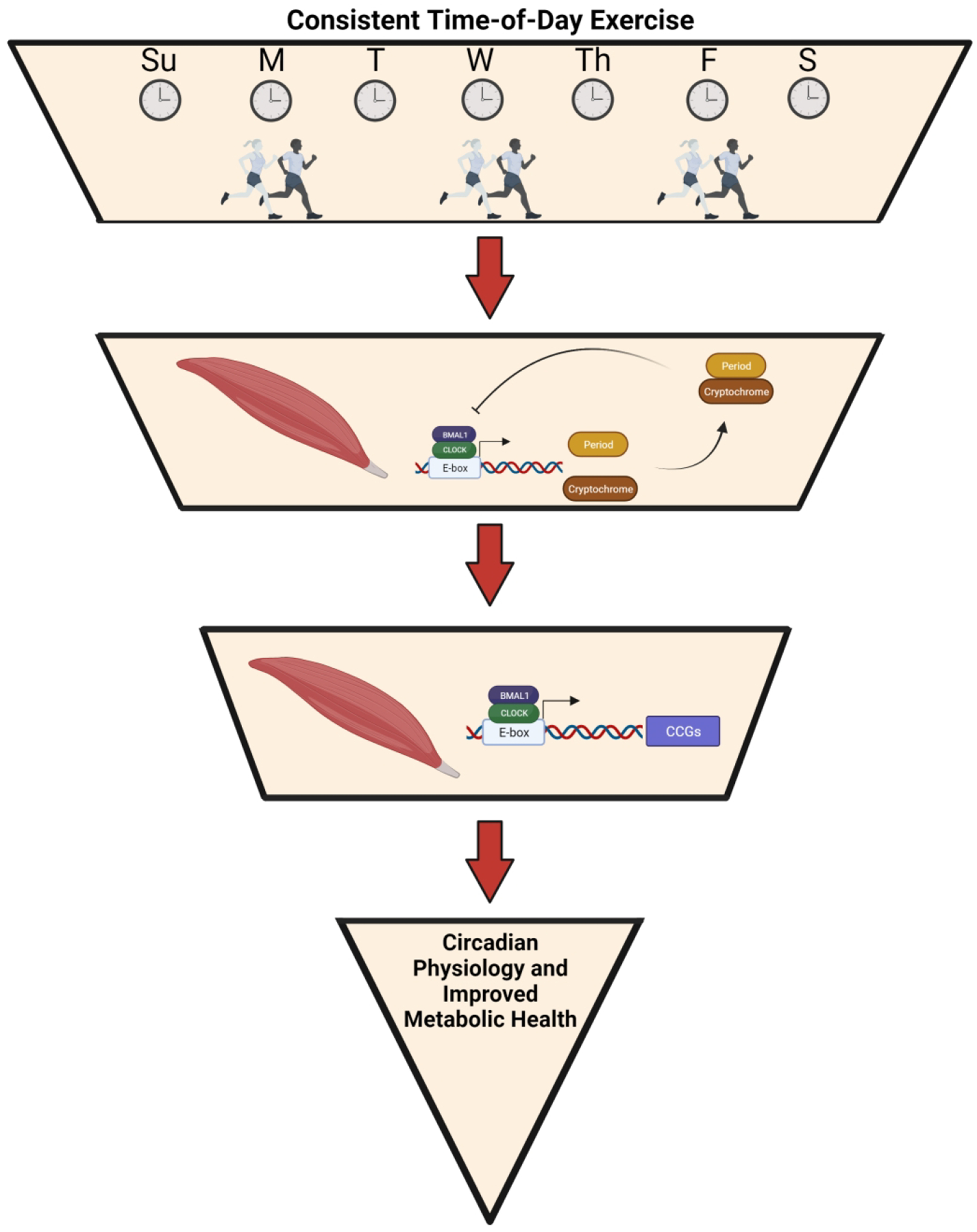 Figure 3.