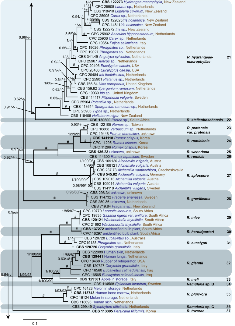 Fig. 2