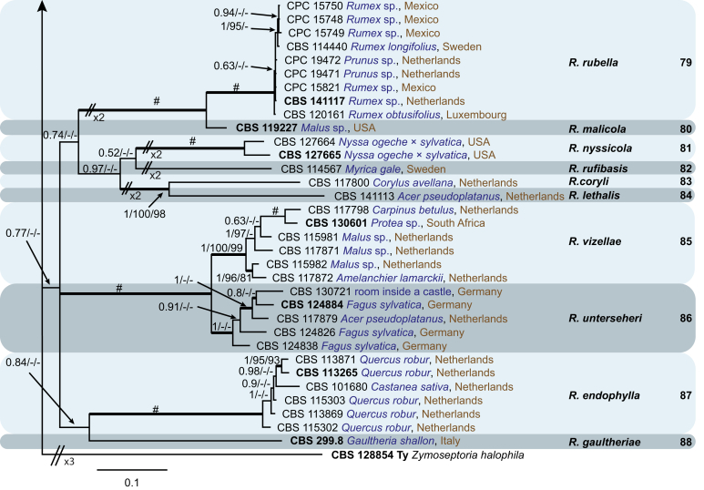 Fig. 2