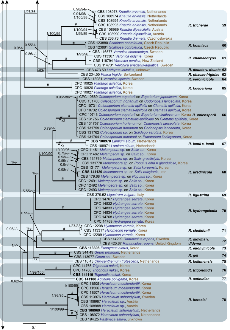 Fig. 2
