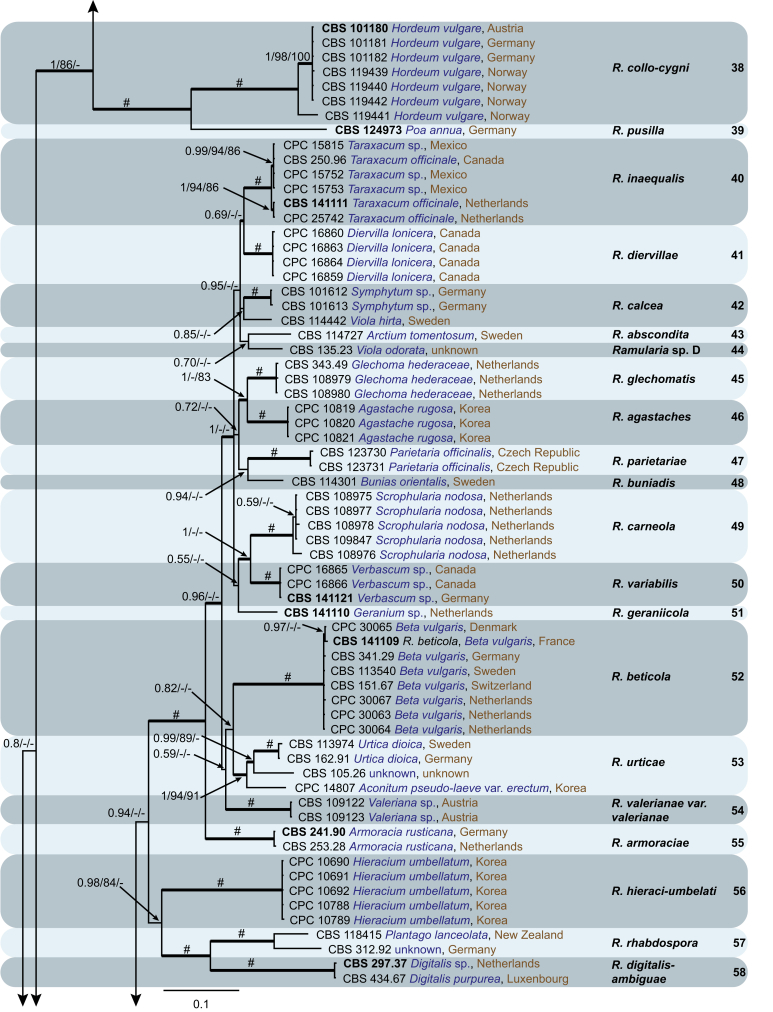 Fig. 2