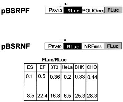 FIG. 5