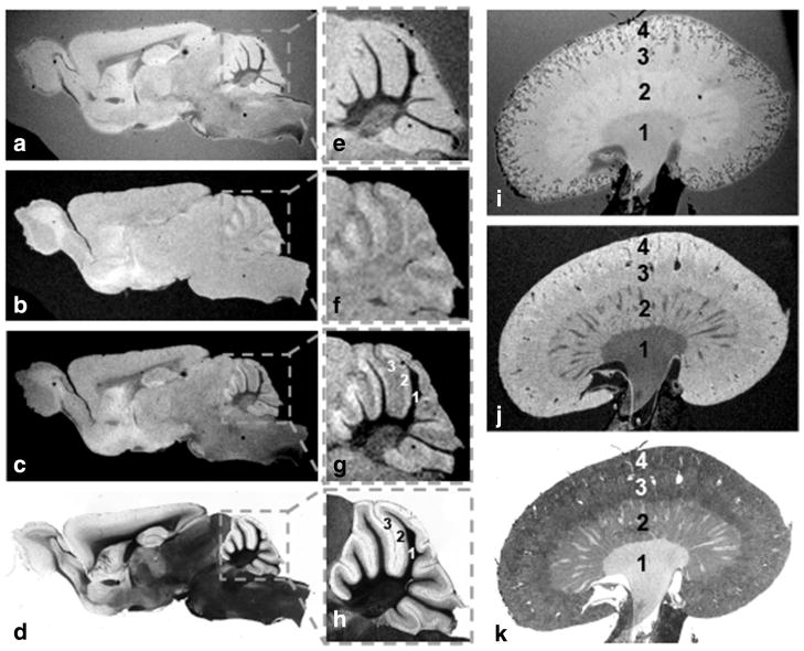 FIG. 5