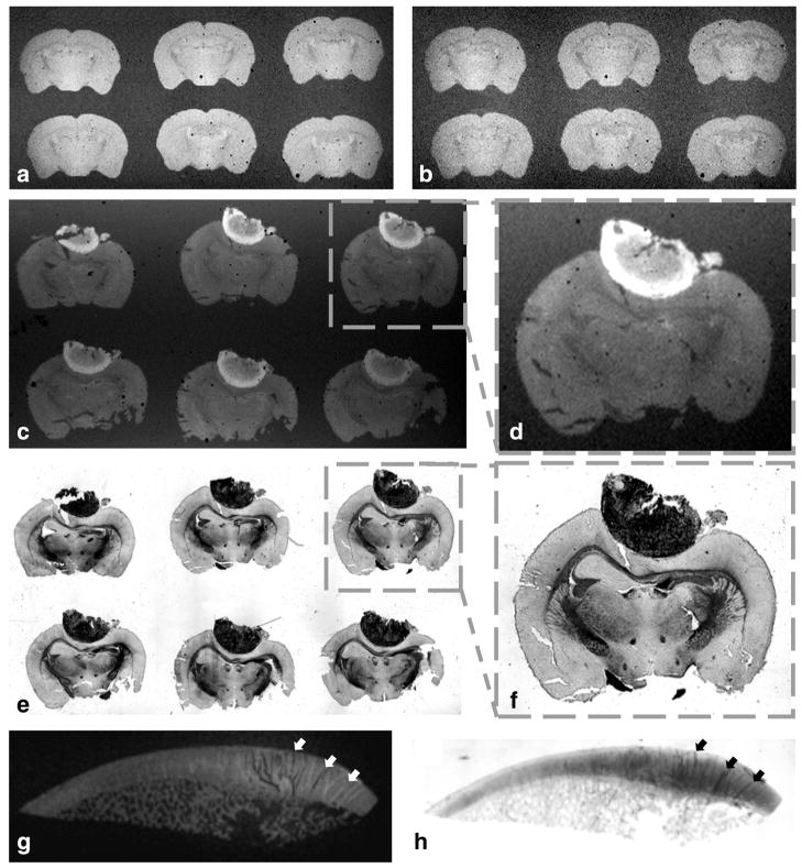 FIG. 7