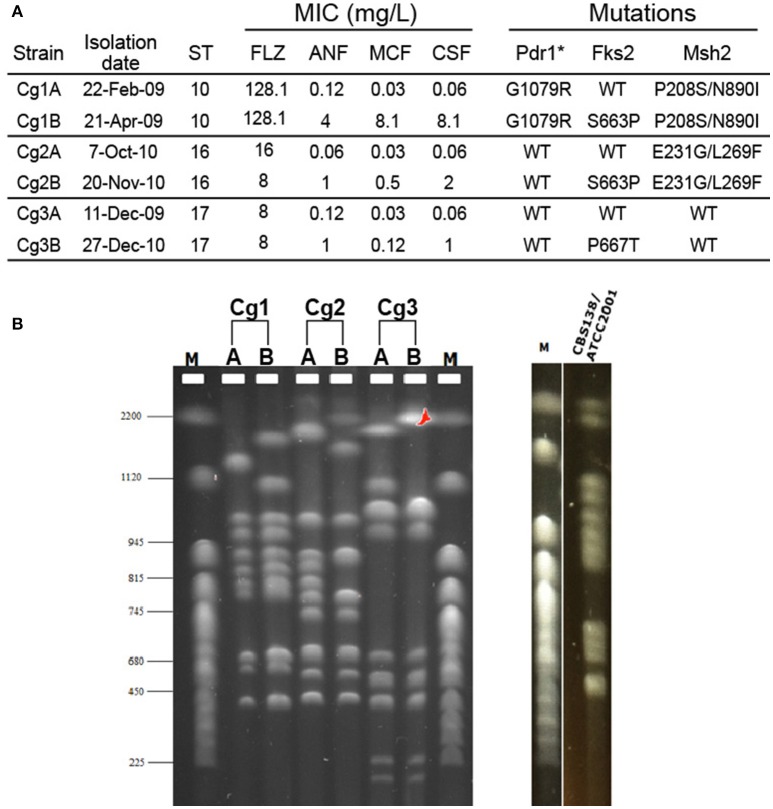 Figure 1